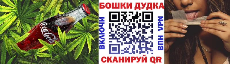 Canna-Cookies конопля Иннополис