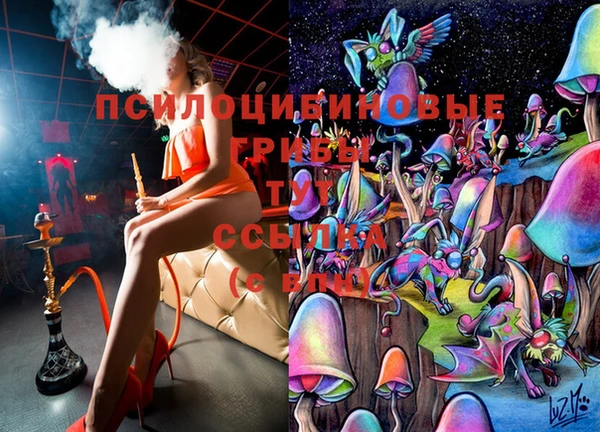 хмурый Вяземский