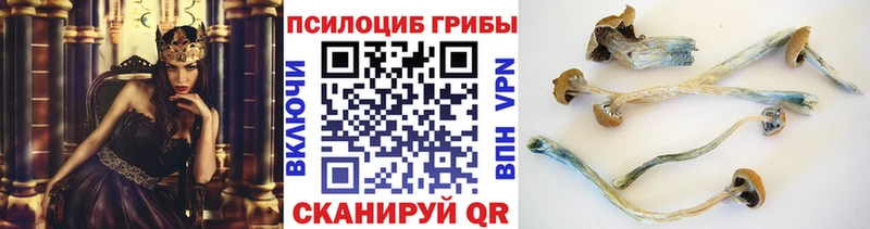 Псилоцибиновые грибы прущие грибы  закладки  Иннополис 